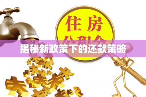 涞水揭秘新政策下的还款策略